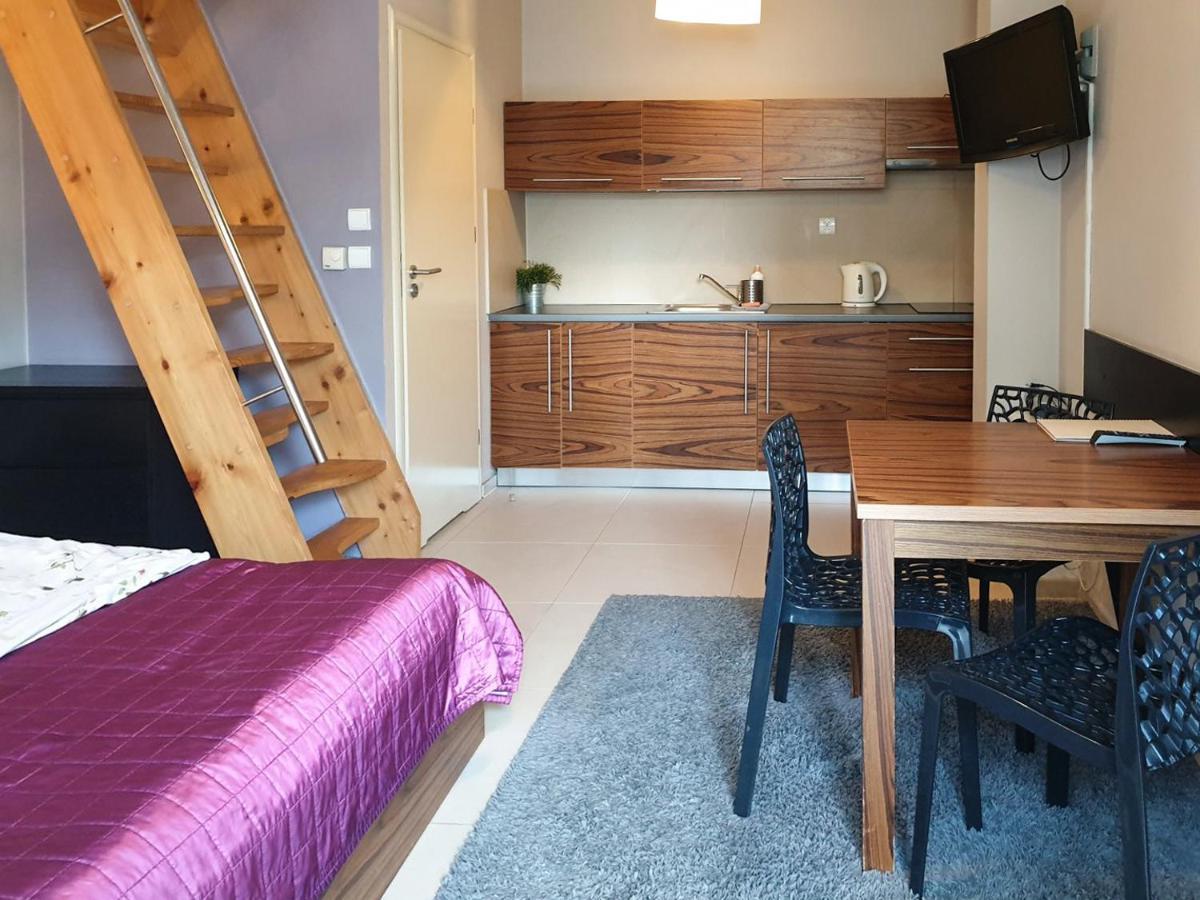 Apartamenty Brzozowa - Centrum Zakopane Bagian luar foto