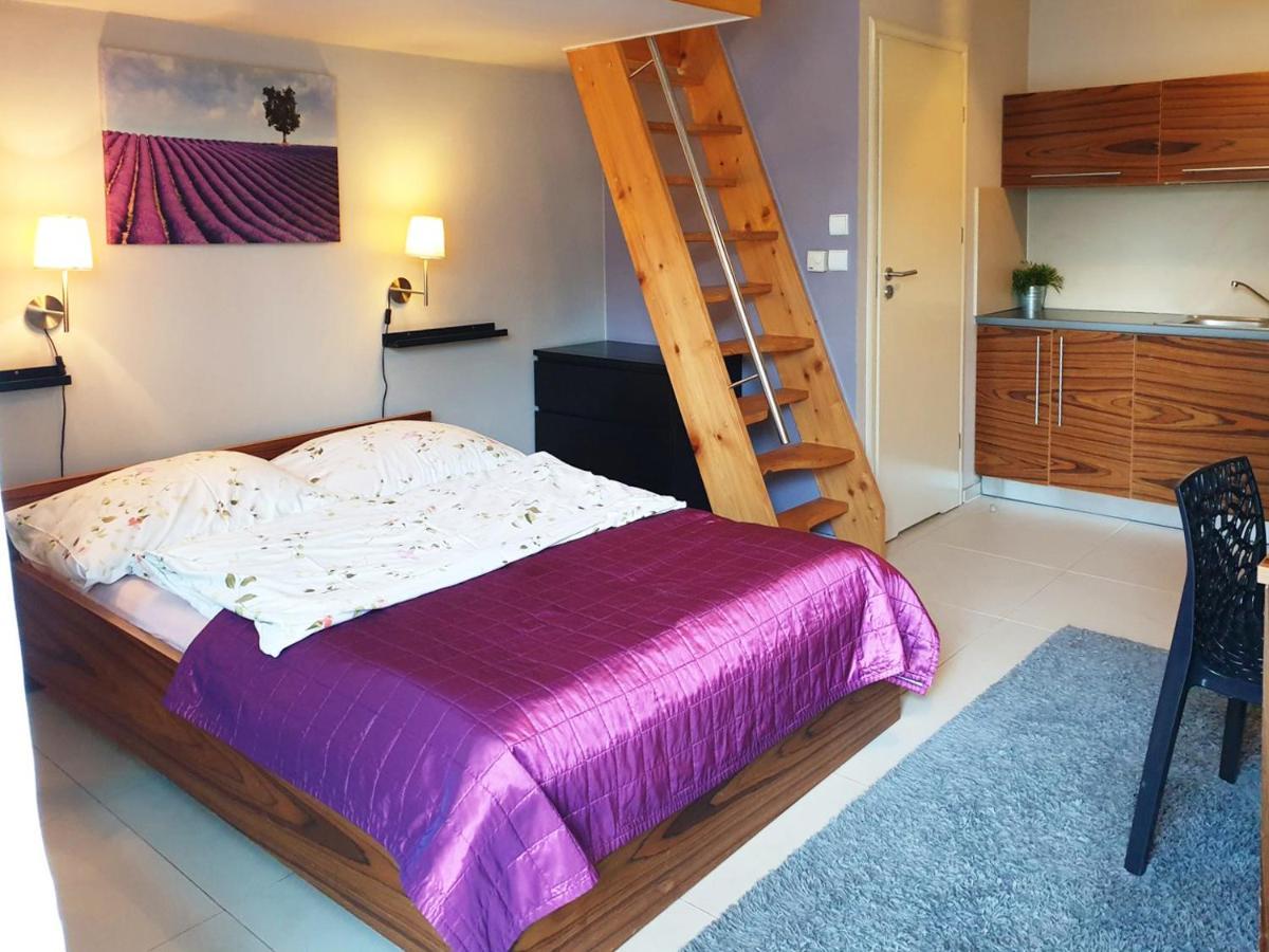 Apartamenty Brzozowa - Centrum Zakopane Bagian luar foto